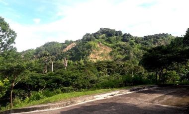 145 Sqm Residential Lot for Sale near Talamban Cebu City