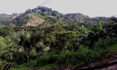145 Sqm Residential Lot for Sale near Talamban Cebu City