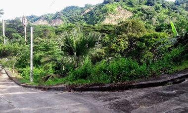 145 Sqm Residential Lot for Sale near Talamban Cebu City