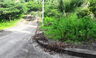 145 Sqm Residential Lot for Sale near Talamban Cebu City