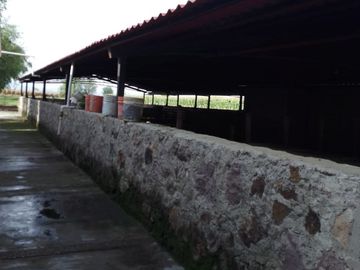 Preciosa Finca en Venta con todos Implementos y Maquinaria