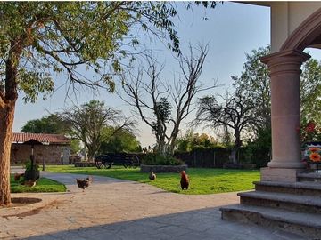 Preciosa Finca en Venta con todos Implementos y Maquinaria