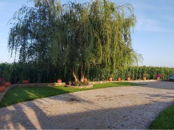 Preciosa Finca en Venta con todos Implementos y Maquinaria