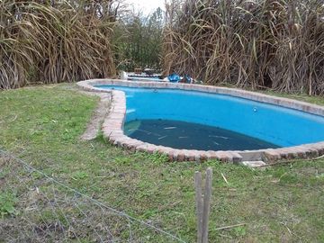 Tres bungalows y dos monoambientes