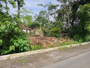 Tanah Dijual Luas 167 m2 hanya 100 Meter Dari Jl Prambanan-Manisrenggo
