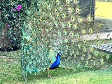 Venta de casa en Valle de Bravo