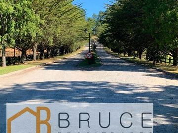 Parcela en Venta en Condominio San Andrés, Comuna Futrono, Región de Los Rios