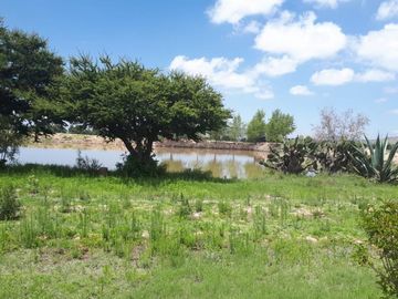 RANCHO EN VENTA EN VILLA DE ARRIAGA SAN LUIS POTOSI