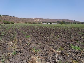 Venta de terreno Agrícola de riego de 10.0 Ha, en Puente de Ixtla, cuenta con uso de Suelo, habitacional, agroindustrial y de Servicios.