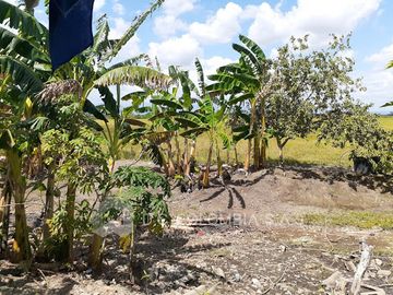 VENTA de FINCAS en VILLAVICENCIO