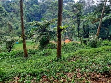 Dijual Tanah Dekat Gunung Salak Bogor Lt110m&sup2;