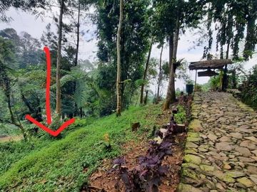 Dijual Tanah Dekat Gunung Salak Bogor Lt110m&sup2;