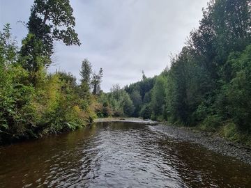 Parcela en venta sector Aguas Buenas en Ancud - Chiloe