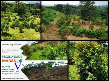 Tanah Harga 45 Juta Area Bogor Timur | Investasi Tanah