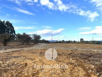 Parcelas en venta 5000 m2 c/u , Puerto Varas , Parque Ivian
