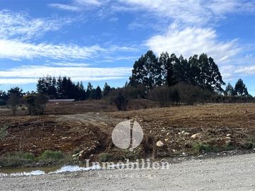 Parcelas en venta 5000 m2 c/u , Puerto Varas , Parque Ivian