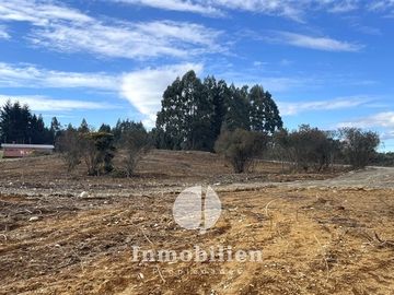 Parcelas en venta 5000 m2 c/u , Puerto Varas , Parque Ivian