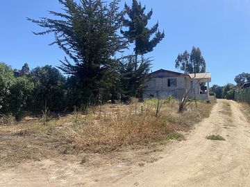 EL BOLDAL, LA LAGUNA, PUCHUNCAVI