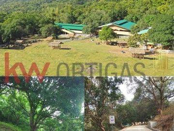 Only 1,100/sqm! 8 Hectare Mango Farm for Sale in Nasugbu