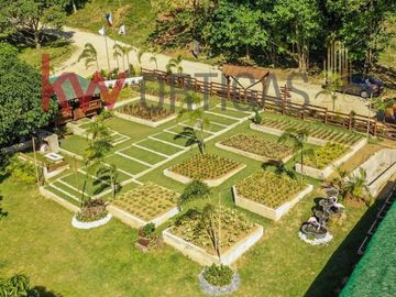 Only 1,100/sqm! 8 Hectare Mango Farm for Sale in Nasugbu