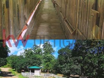 Only 1,100/sqm! 8 Hectare Mango Farm for Sale in Nasugbu