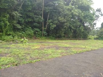 Promo Akhir Tahun, Candi Village Jogja, Peluang Investasi Tinggi!