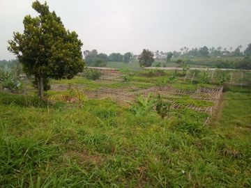 65 Ha Tanah di Cimahi Utara, Cimahi dan Cisarua, Kabupaten Bandung Barat.