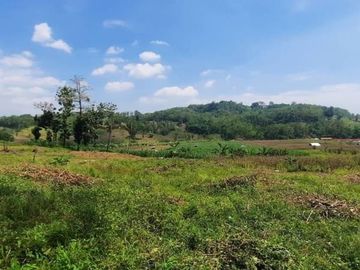 SHM Darat : 50 Jt-an Kapling Zona Kuning Pangkah