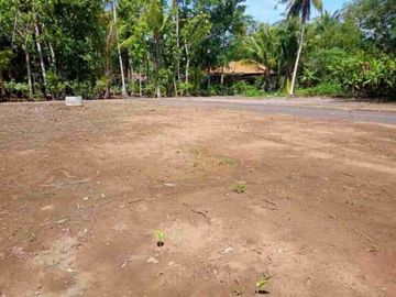 Barat Lotte Grosir Tegal, Pesona Singkil 1 Jt-an