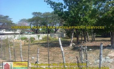 1 Hec Beach Prime Property For Sale in Bauang, LU (SOLD!!)