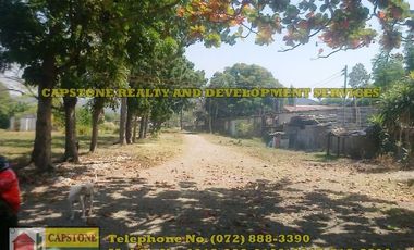 1 Hec Beach Prime Property For Sale in Bauang, LU (SOLD!!)