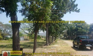 1 Hec Beach Prime Property For Sale in Bauang, LU (SOLD!!)