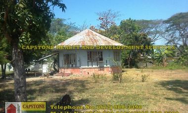 1 Hec Beach Prime Property For Sale in Bauang, LU (SOLD!!)