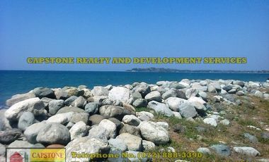 1 Hec Beach Prime Property For Sale in Bauang, LU (SOLD!!)