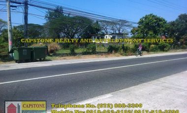 1 Hec Beach Prime Property For Sale in Bauang, LU (SOLD!!)