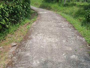 Jual Tanah kebun Manggis dan Cengkeh produktif pinggir jalan Desa Kiarapedes Wanayasa Purwakarta