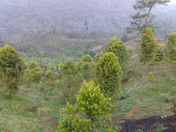 Jual Lahan Strategis di Sukabumi Cikidang