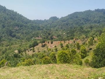 Jual Lahan Strategis di Sukabumi Cikidang