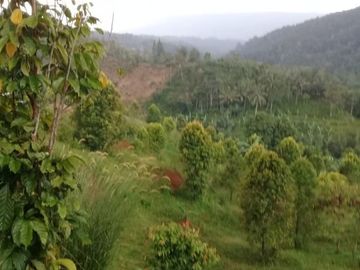 Jual Lahan Strategis di Sukabumi Cikidang