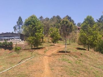 Jual Lahan Strategis di Sukabumi Cikidang