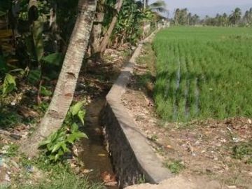 Tanah sawah produktif di Sukamanah, Cianjur | ATANGS