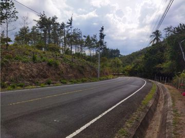 SE REMATA LOTE CAMPESTRE ENTRE PENONOME Y EL VALLE - 6102jc