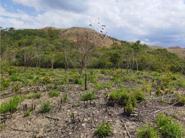 SE REMATA LOTE CAMPESTRE ENTRE PENONOME Y EL VALLE - 6102jc