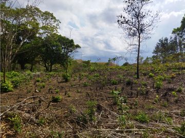 SE REMATA LOTE CAMPESTRE ENTRE PENONOME Y EL VALLE - 6102jc