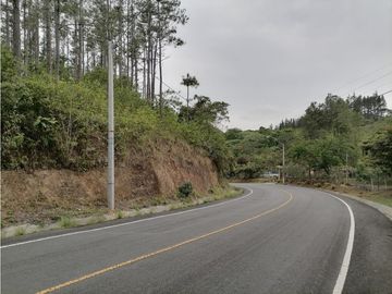 SE REMATA LOTE CAMPESTRE ENTRE PENONOME Y EL VALLE - 6102jc