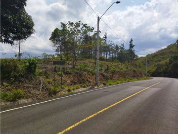SE REMATA LOTE CAMPESTRE ENTRE PENONOME Y EL VALLE - 6102jc