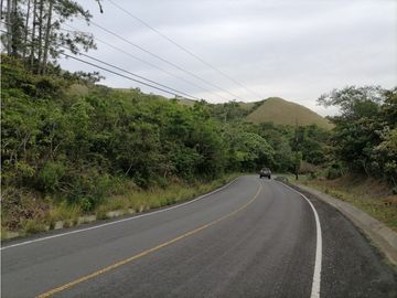SE REMATA LOTE CAMPESTRE ENTRE PENONOME Y EL VALLE - 6102jc