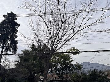 SE VENDE SITIO CON GRAN PROYECCIÓN COMERCIAL