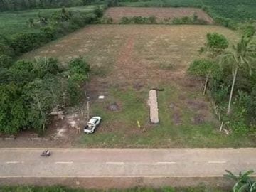Lot for Sale Along the highway at Barangay Lingating Baungon Bukidnon