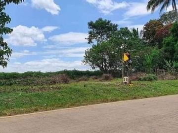 Lot for Sale Along the highway at Barangay Lingating Baungon Bukidnon